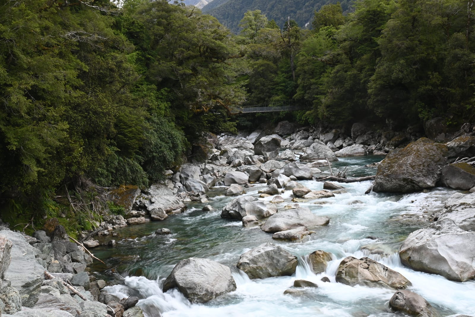 Lower Hollyford